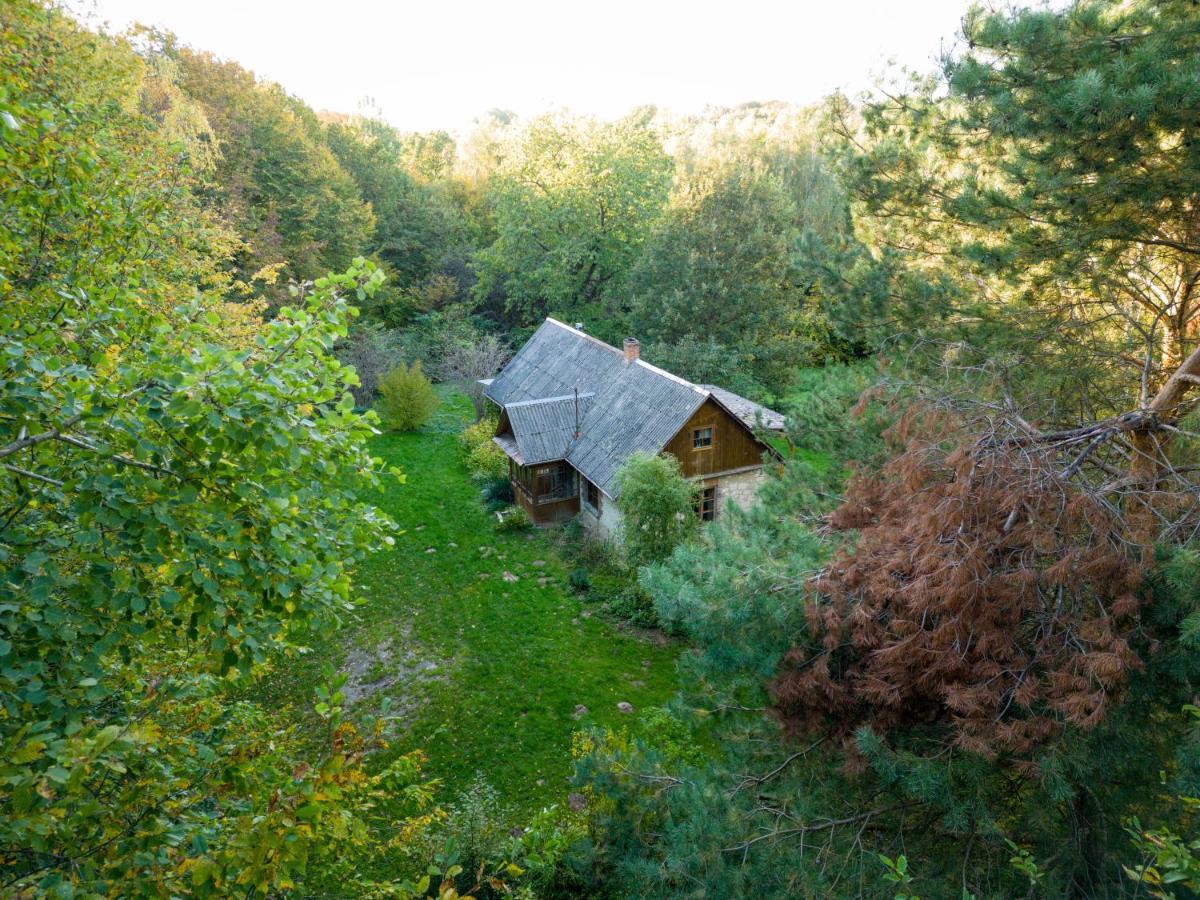 Agroturystyka Siedlisko Wydry - Dom W Srodku Lasu Wierzchoniow Exterior photo